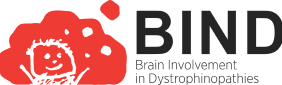 Brain involvement in dystrophinopathies