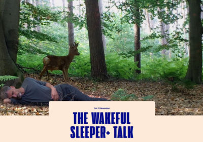 The Wakeful sleeper talk 768x534 pixels