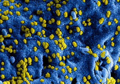 Nieuws coronavirus