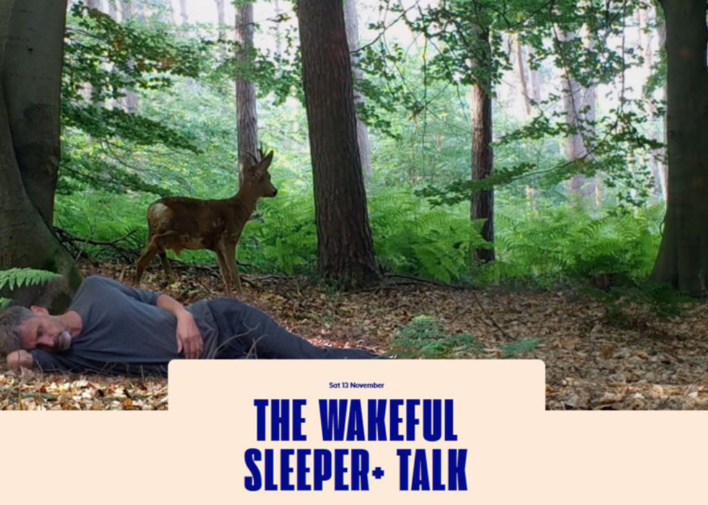 The Wakeful sleeper talk 768x534 pixels
