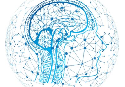 Ontwerp zonder titel 5